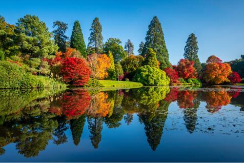 Park in Sheffield 