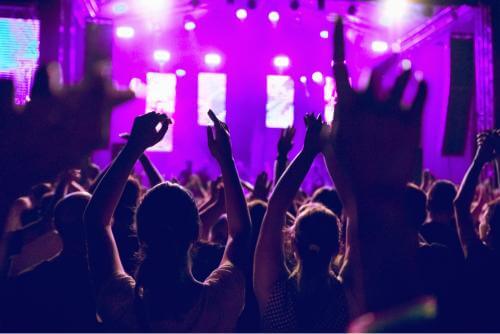 enjoying at wireless music festival